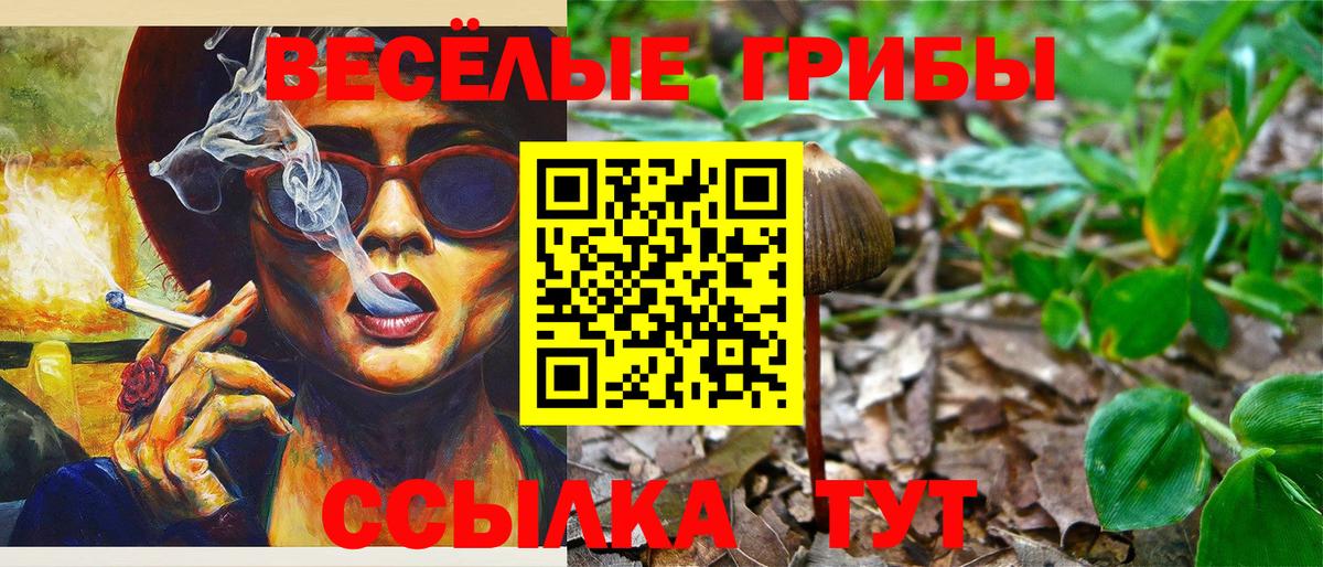Галлюциногенные грибы GOLDEN TEACHER  Вход с VPN  Псилоцибиновые грибы мицелий  Сыктывкар 
